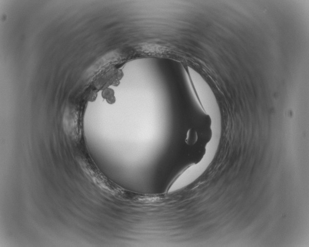 X0000086080428200704202156