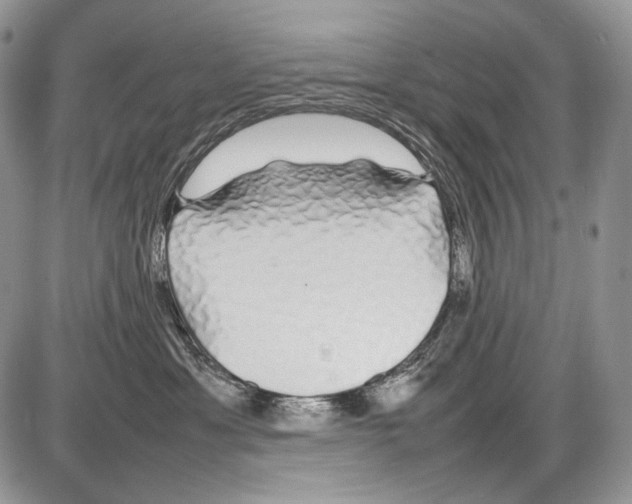 X0000086080429200704202156