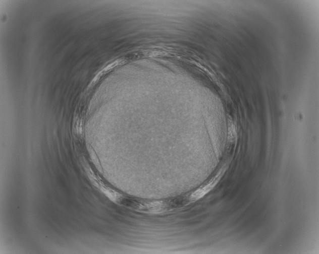 X0000086080431200704202156