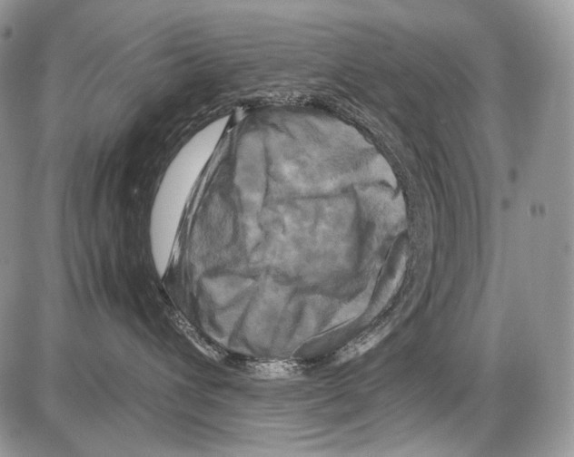 X0000086080432200704202156