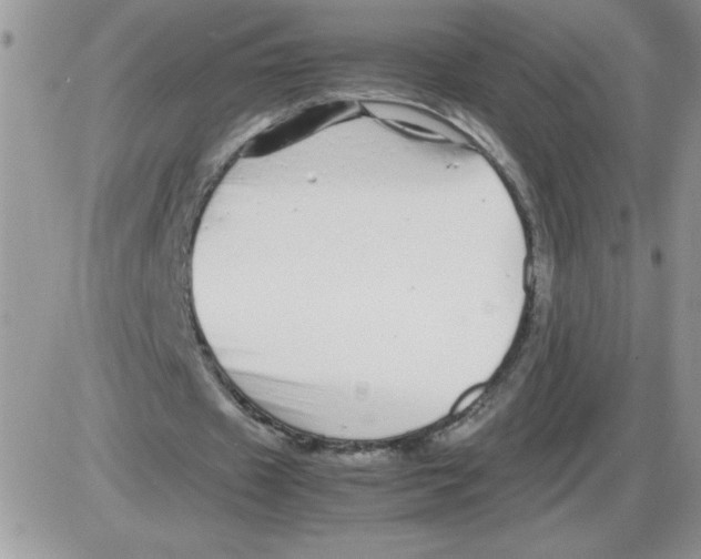 X0000086080433200704202155