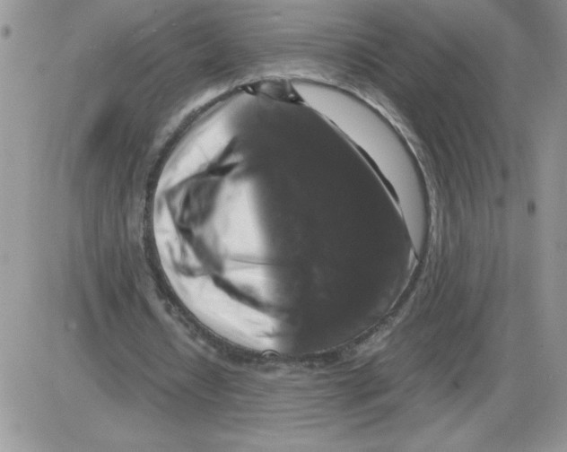 X0000086080434200704202155