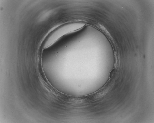 X0000086080435200704202155