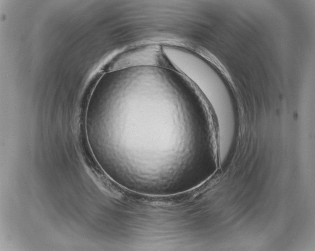 X0000086080436200704202155