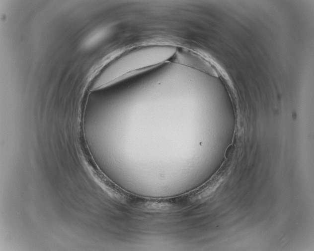 X0000086080437200704202155