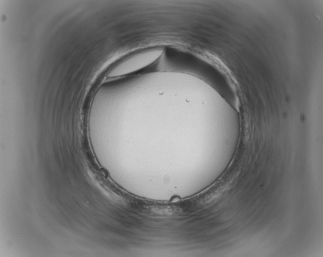 X0000086080439200704202155