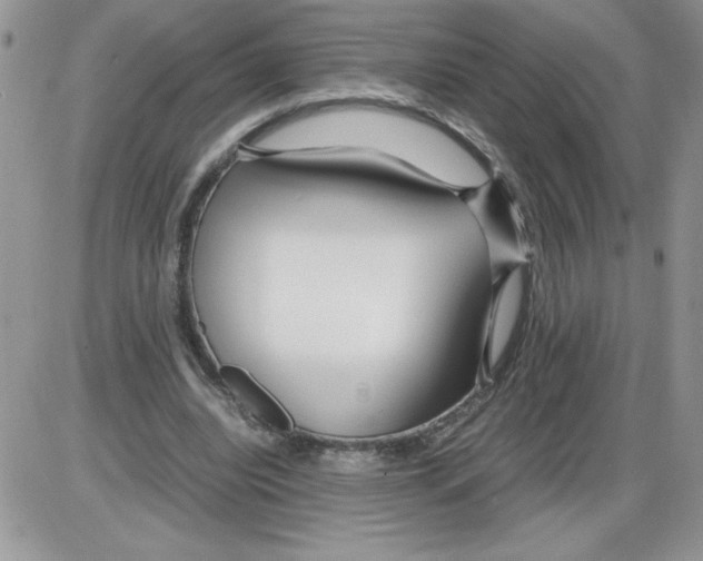 X0000086080440200704202155