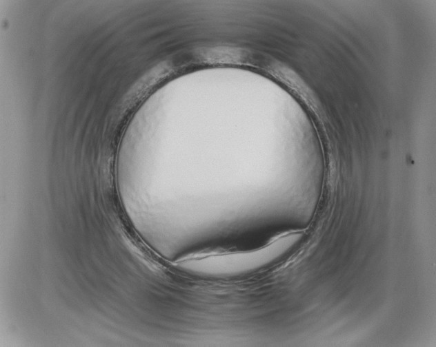 X0000086080441200704202155