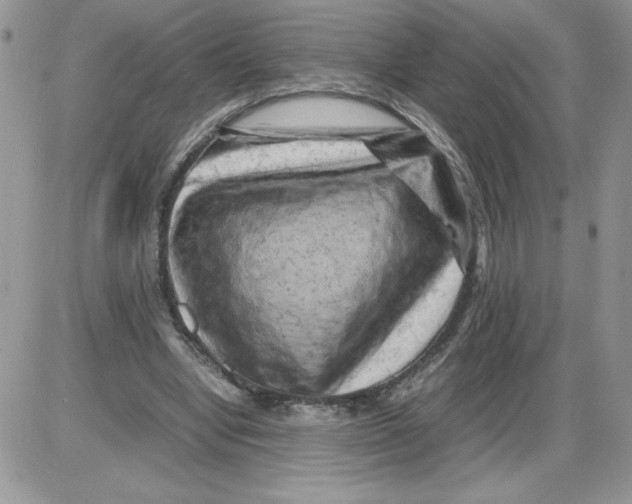 X0000086080442200704202155