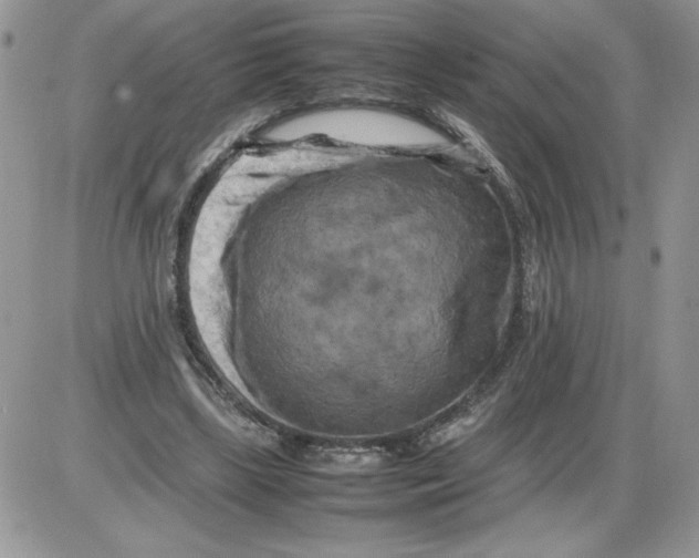 X0000086080443200704202155