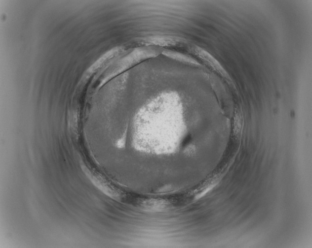 X0000086080444200704202155