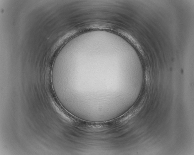 X0000086080445200704202155