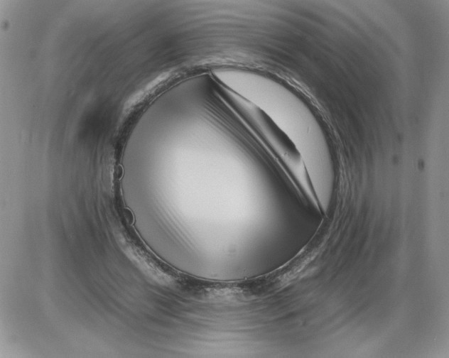 X0000086080446200704202155