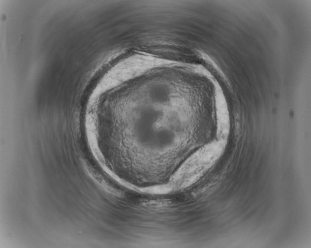 X0000086080447200704202155