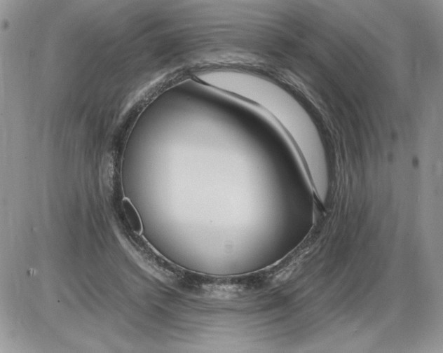 X0000086080448200704202155