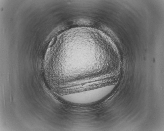 X0000086080449200704202155