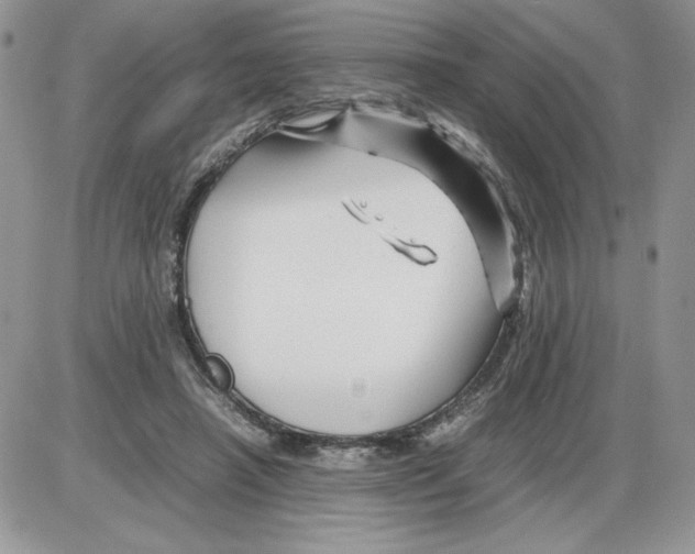 X0000086080450200704202155