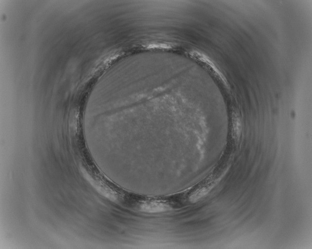 X0000086080451200704202155