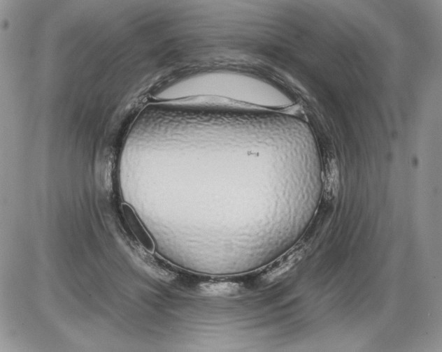 X0000086080452200704202155