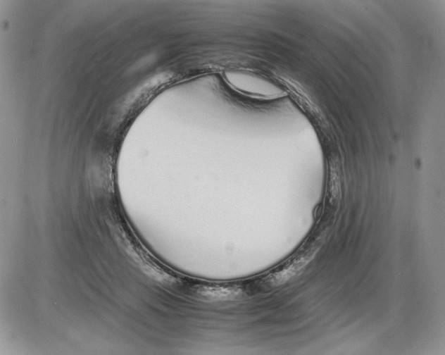 X0000086080453200704202155