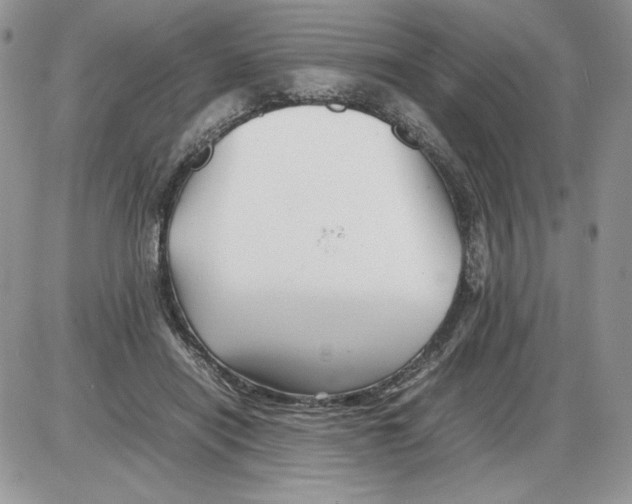 X0000086080454200704202155