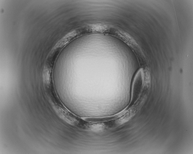 X0000086080456200704202155