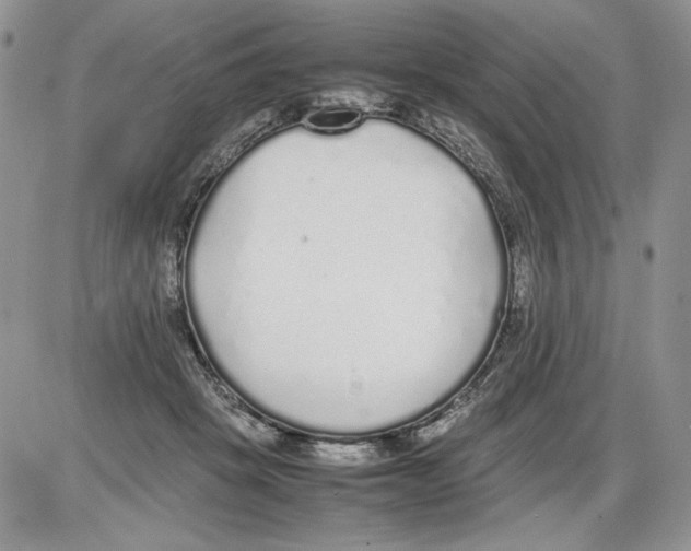 X0000086080457200704202155