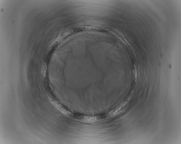 X0000086080458200704202155