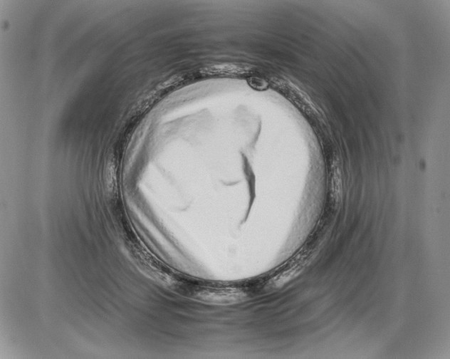 X0000086080459200704202155