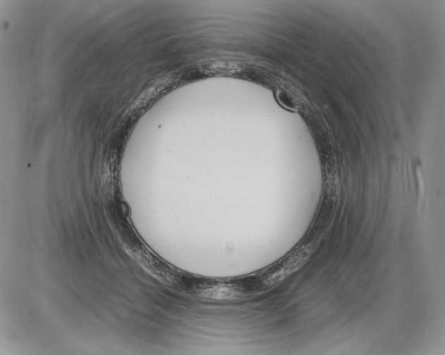 X0000086080460200704202155