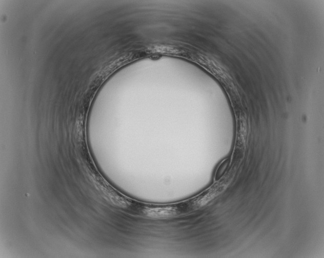 X0000086080461200704202155