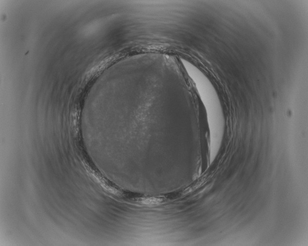 X0000086080462200704202155