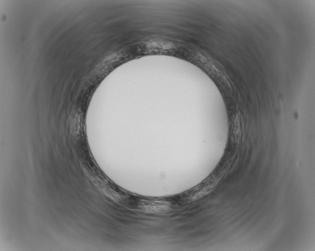 X0000086080463200704202155