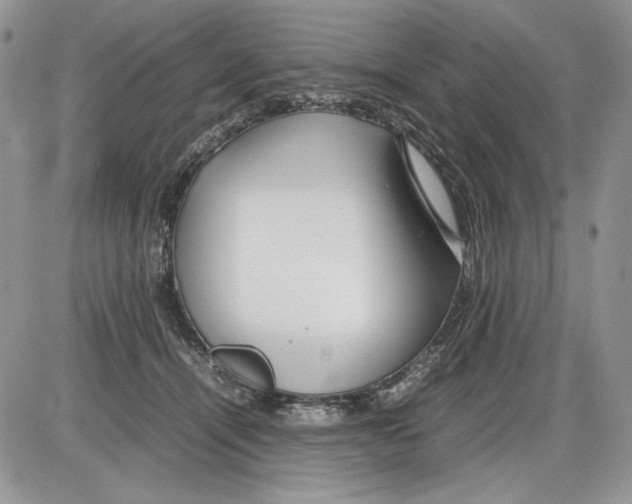 X0000086080464200704202155