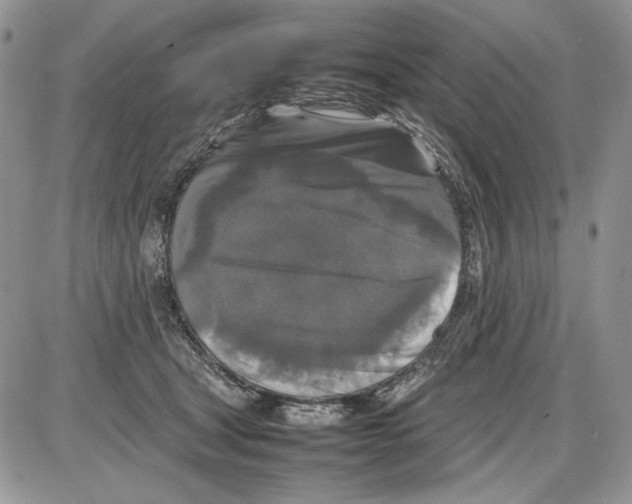 X0000086080465200704202155