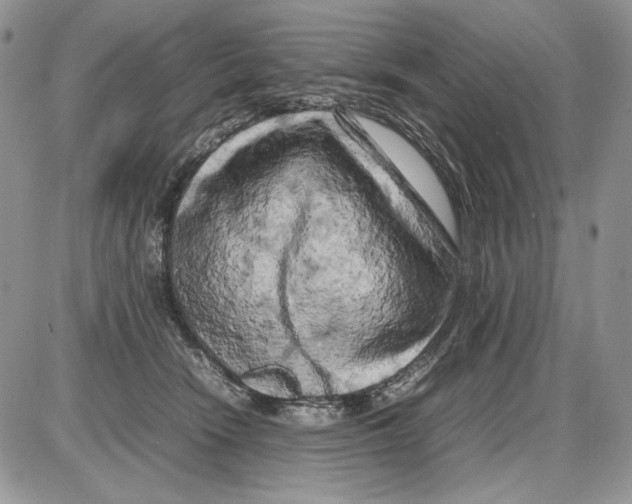 X0000086080466200704202155