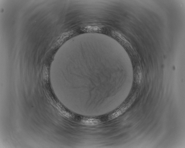 X0000086080467200704202155