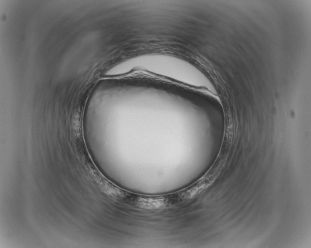 X0000086080469200704202155