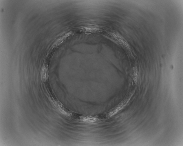 X0000086080471200704202155