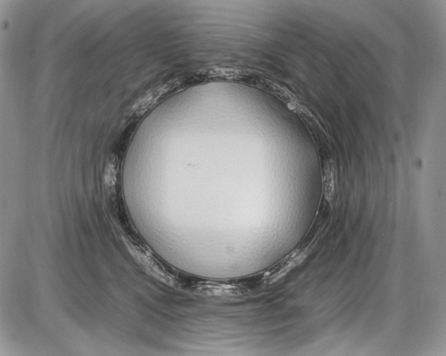 X0000086080472200704202155