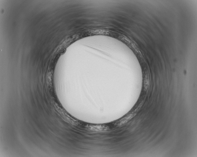 X0000086080473200704202155