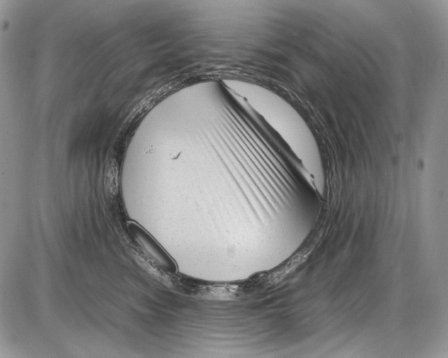 X0000086080474200704202156