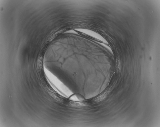 X0000086080475200704202156