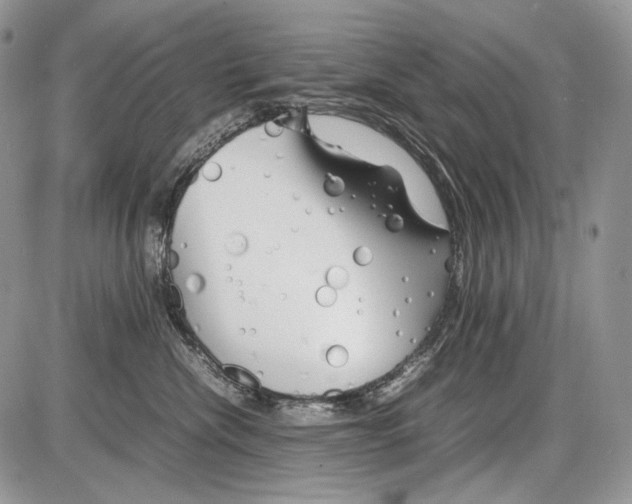 X0000086080476200704202156