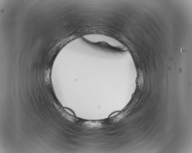 X0000086080477200704202156