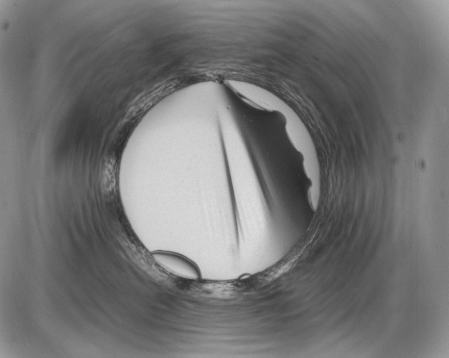 X0000086080478200704202156