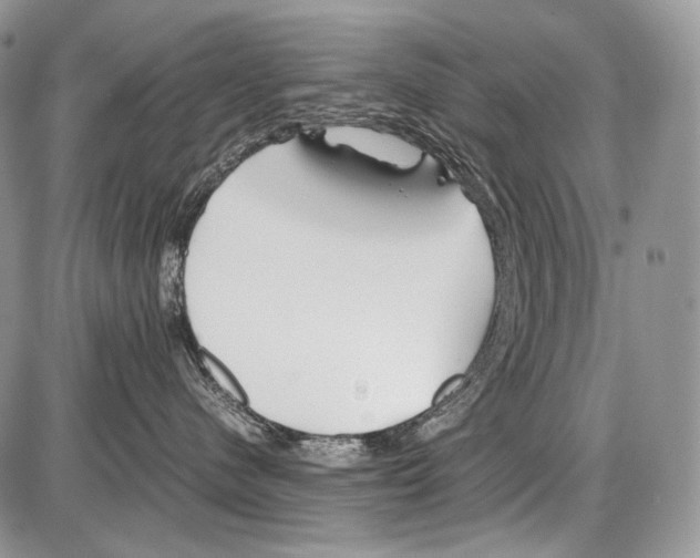 X0000086080480200704202156