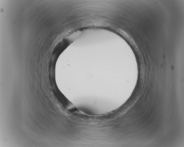 X0000086080481200704202155