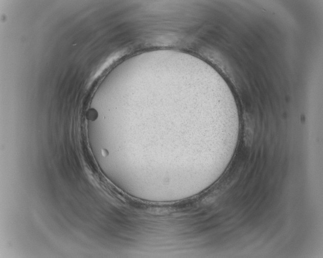 X0000086080482200704202155