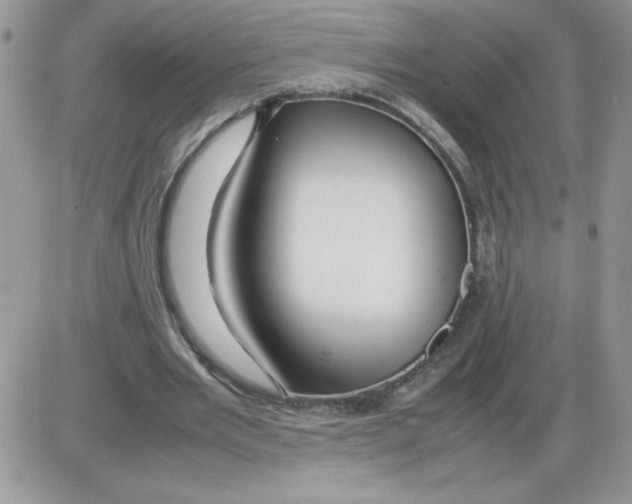 X0000086080485200704202155